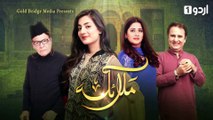 Malaika - Episode 19 | Urdu 1 Dramas | Uroosa Qureshi, Tehreem Zuberi, Kanwar Arsalan