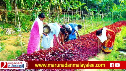 Kerala government and uralungal labour society