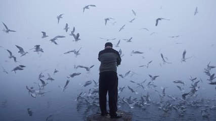 Cold wave prevails in North India; India to join UNSC as non-permanent member for 2 years; more