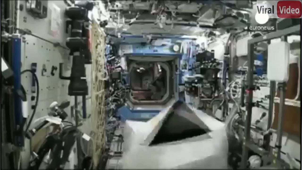 GORILLA IN SPACE STATION ????