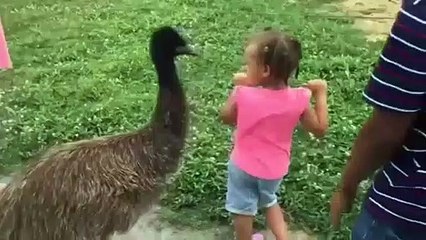 #2021 #2021funnyvideo #Cutebaby  |  #funnybaby #babyvideo  | Cute baby