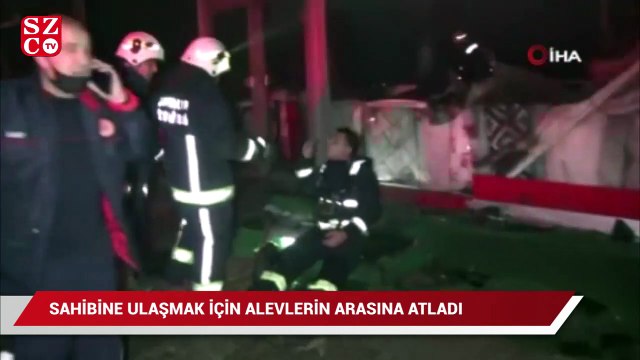 Sahibine ulaşmak için alevlerin arasına dalan köpek itfaiye ekipleri tarafından kurtarıldı