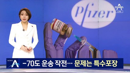 백신 보관, 영하 80~60도여야 한다는데…운반은 어떻게?