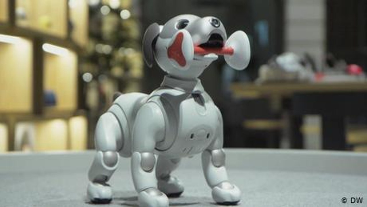 'Aibo' - ein Roboterhund der neuen Generation