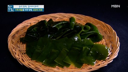 수독 배출에 도움 되는 다시마!?