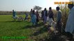 Soor ka shikar, wild boar hunting with dogs, pig hunting in Sindh Pakistan 2021 New season