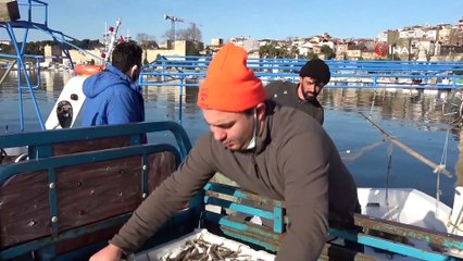 Kısıtlama günlerinde “Alo Balık Hattı” devrede