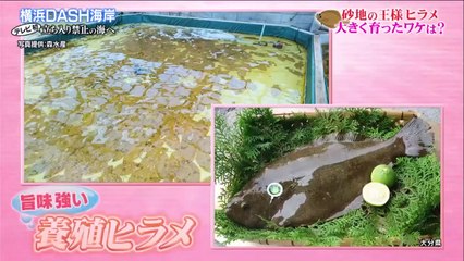 ▼スタジオに入るといき 2021年1月1日