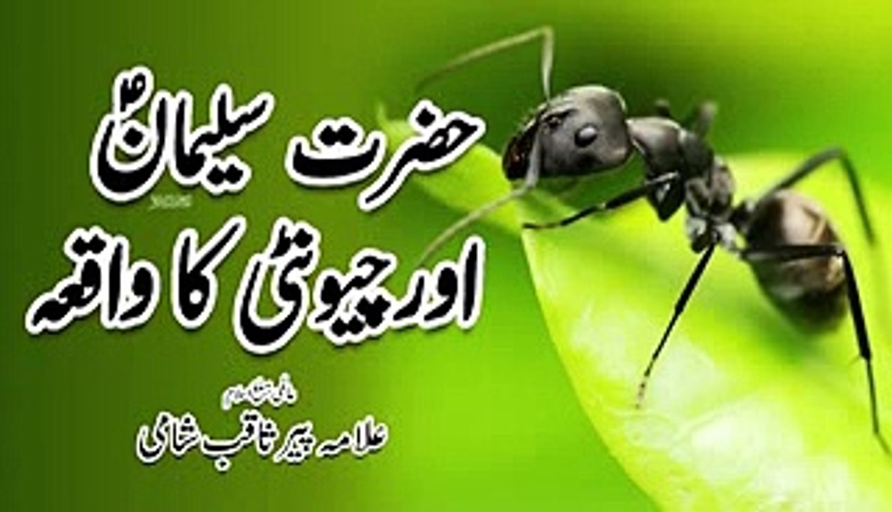 Hazrat Suleman Ali Salam Aur chhutti Ka Vakya