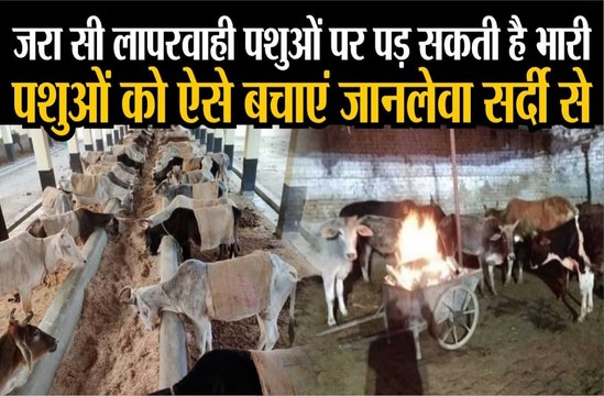 जरा सी लापरवाही पशुओं पर पड़ सकती है भारी