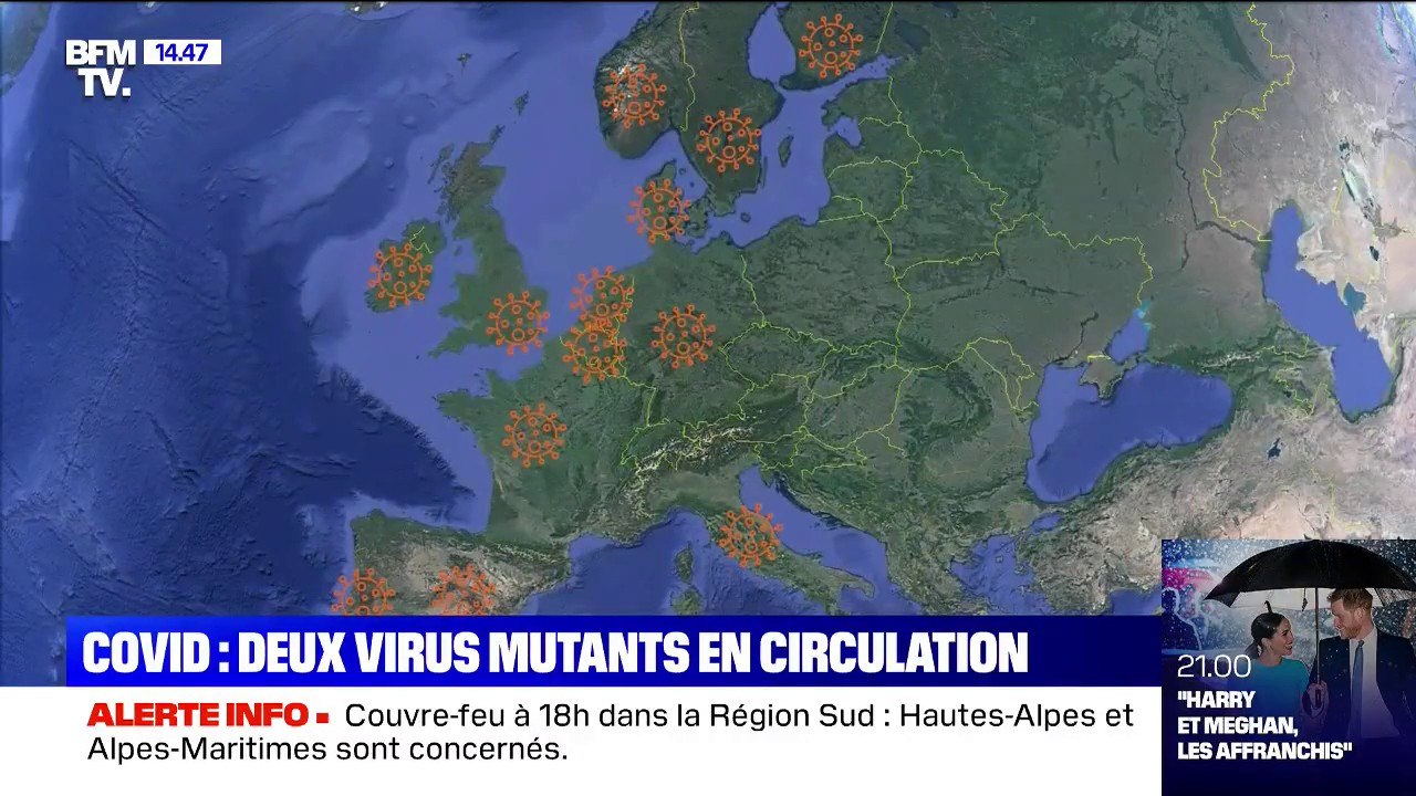 Covid-19: deux formes mutantes du virus identifiées en France