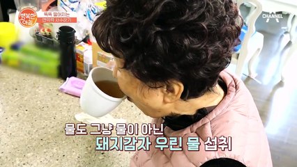 식이섬유가 풍부해 배변 활동에 도움을 주는 '이것'은?