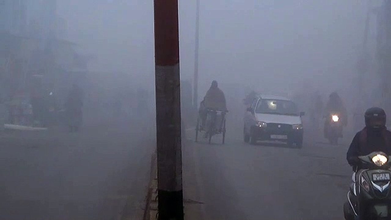शामली में छाया घना कोहरा, भीषण ठंड से लोग हुए परेशान
