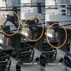 Man Falls Into Garbage Vehicle