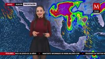 Emily Quinones (01/01/2021)