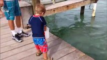 Cet enfant pensait nourrir des poissons mais attendez la suite...