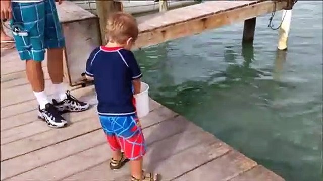 Cet enfant pensait nourrir des poissons mais attendez la suite...