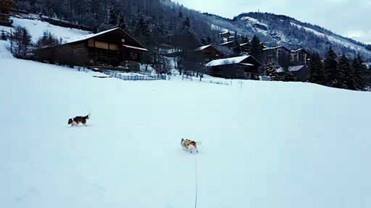 Promenade au Grand Bornand suite 2