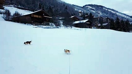 Promenade au Grand Bornand suite 2