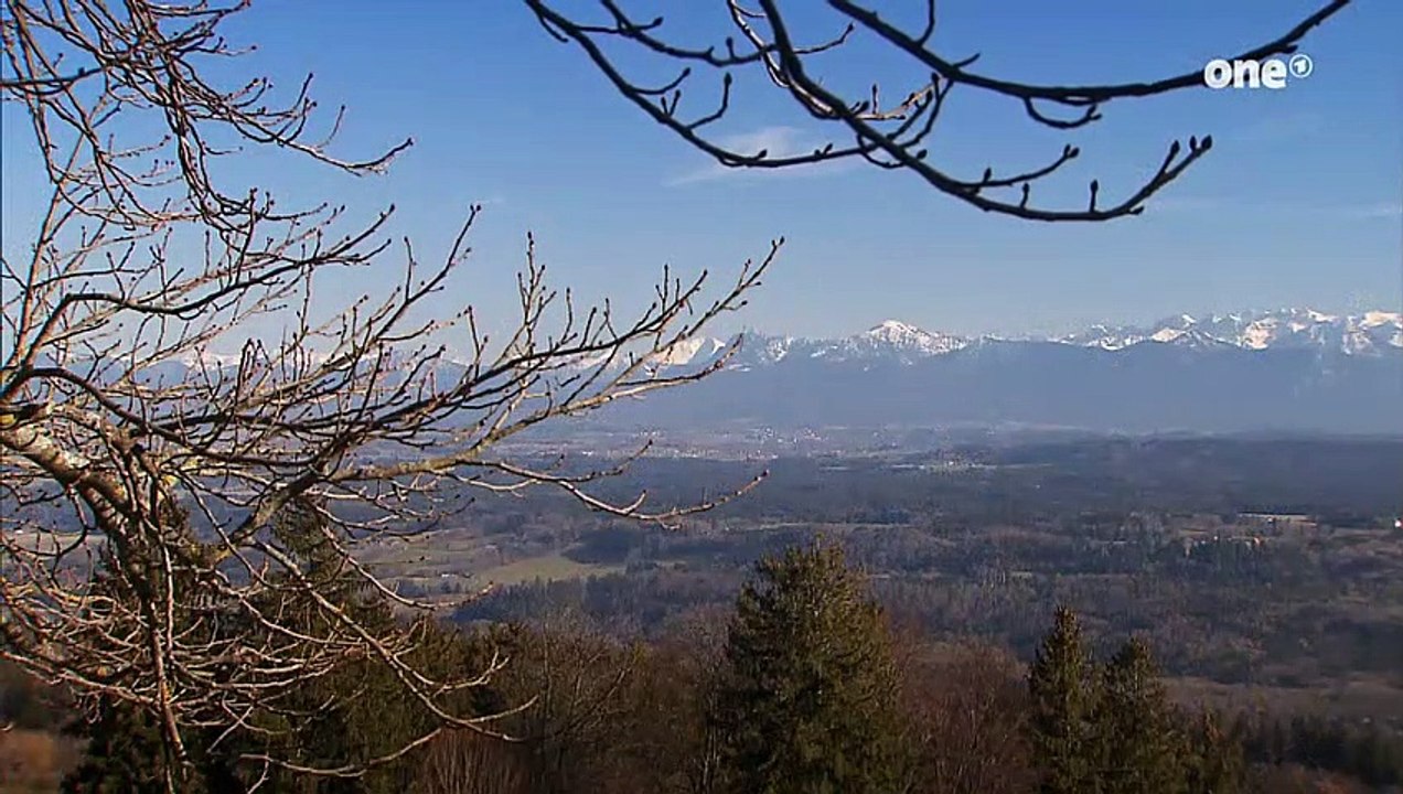 Julia und Niklas Folge 2185