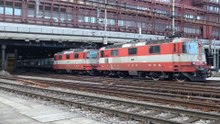 ► 4K SBB Re 4/4 II 11108 & 11109 in Basel [18.08.20]
