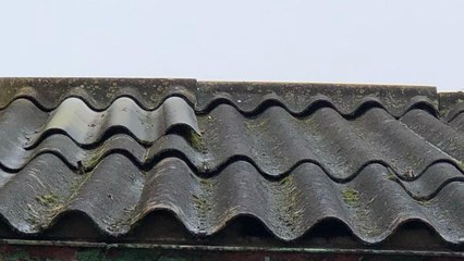 Adiós al asbesto: oficialmente entra en vigencia la ley que lo prohíbe en Colombia