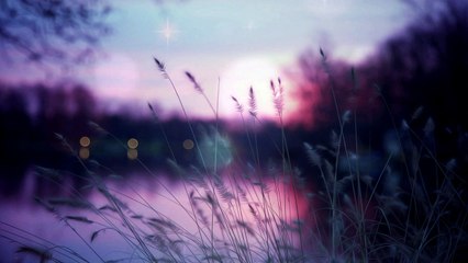 Ulti Ho Gain Sab Tadbiren Kuchh Na Dawa Ne Kaam Kiya | Meer Taqi Meer | Poetry Junction