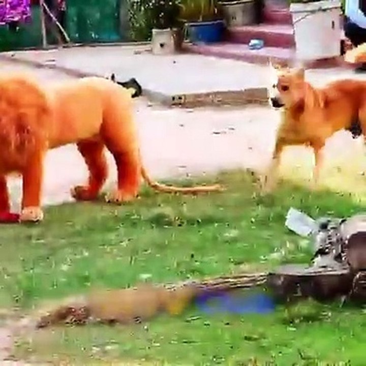 Ultimate prank video