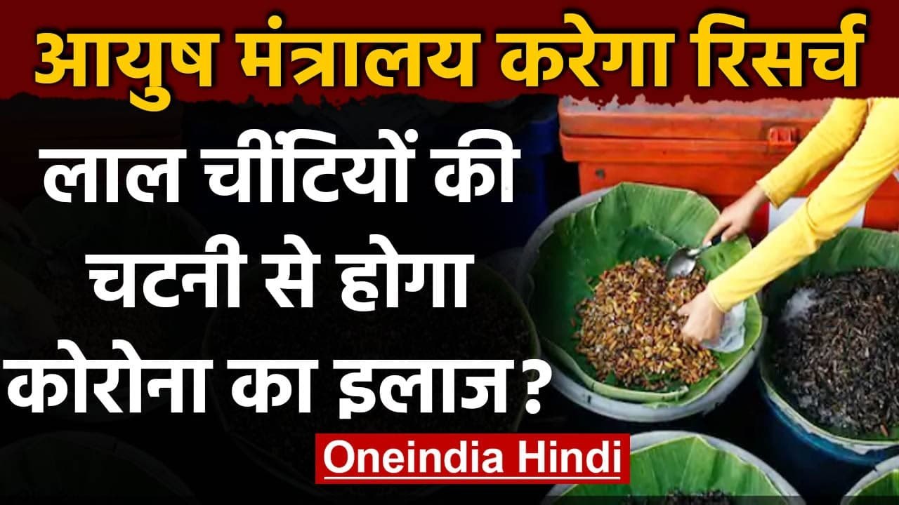 Coronavirus: लाल चींटियों की चटनी से होगा Corona का इलाज? HC ने पता लगाने को कहा | वनइंडिया हिंदी
