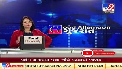 Forest Dept tracks Lions loitering across Rajkot since 1 month