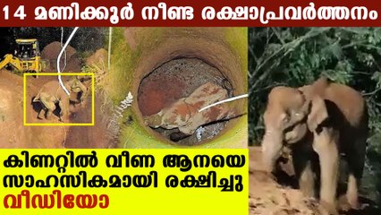 കോഴിക്കോട് ആനക്കാംപൊയിൽ കിണറ്റിൽ വീണ ആനയെ രക്ഷപ്പെടുത്തി