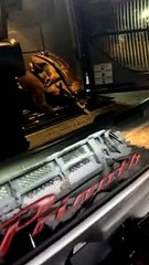 Cheeky Critter Steals Sandwich From Sno-Cat Cab