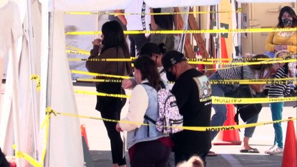 Covid-19 in Europa am 2.1.: Verschärfte Ausgangssperre und Burnout der Pflegerinnen