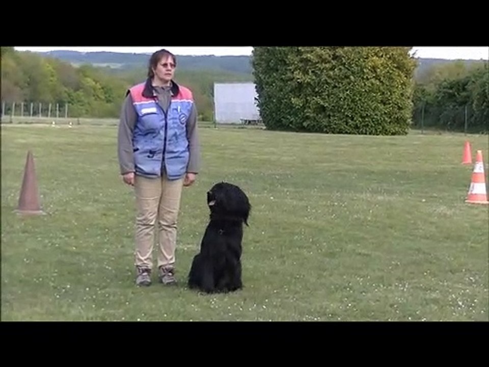 2014 Ring : E'Bhen envoi en avant et saut de haie