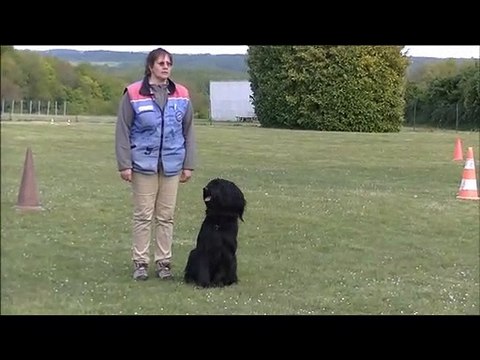 2014 Ring : E'Bhen envoi en avant et saut de haie