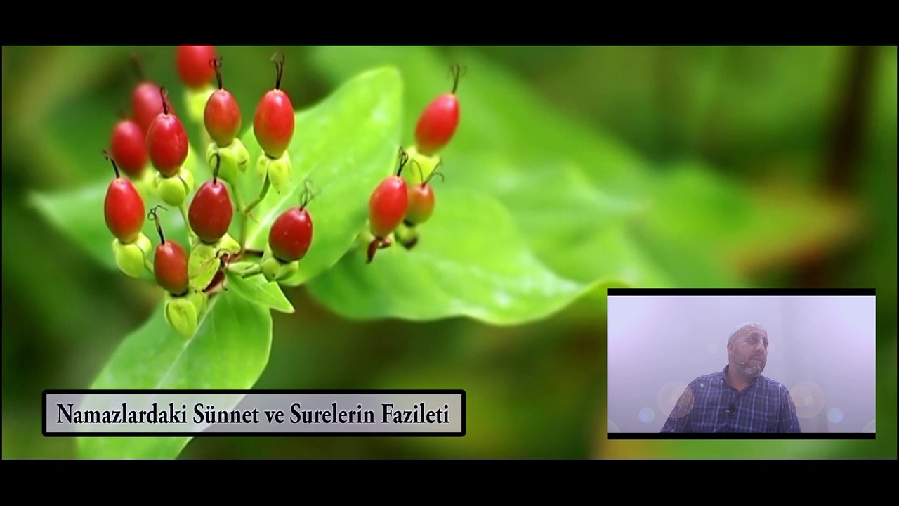 Namazlardaki Sünnet ve Surelerin Fazileti