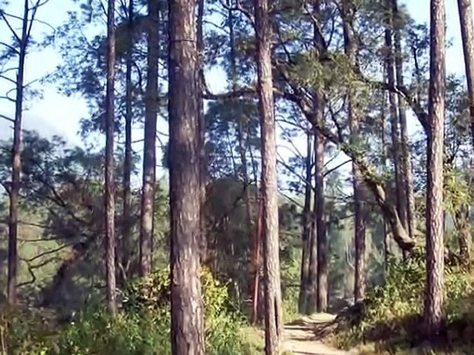 Sanjeeb Sircar -- Sitar. Raag Todi: Gat in MadhayalaTeental.Tabla: Pt. Debashish Adhikari.