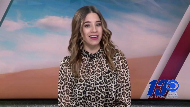 Un mystérieux obélisque en métal, similaire à ceux apparus dans le désert de l'Utah et plusieurs pays européens, a été découvert sur une berge de la ville de Toronto - VIDEO