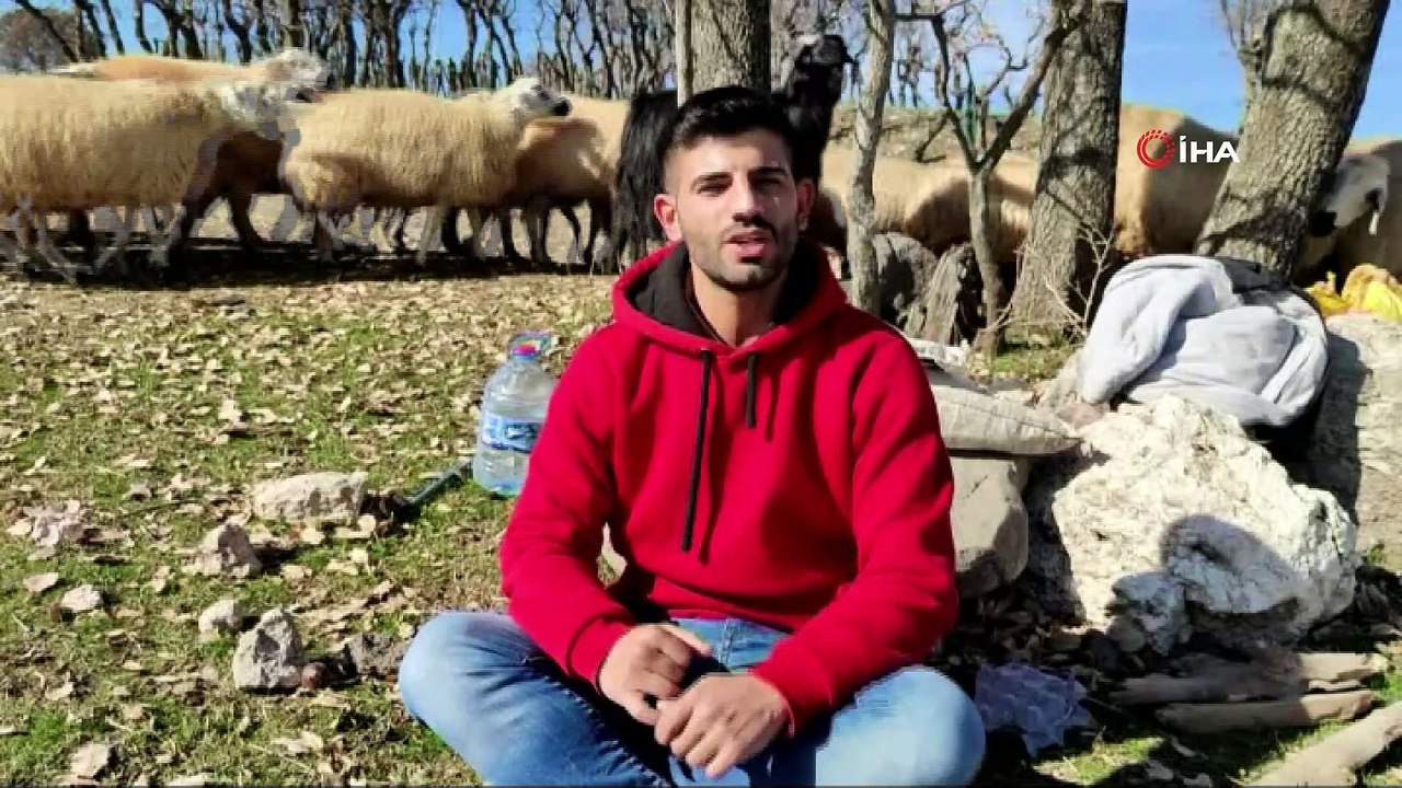 Hem çobanlık yaptı, hem ders çalışarak hayallerinin peşinden gitti