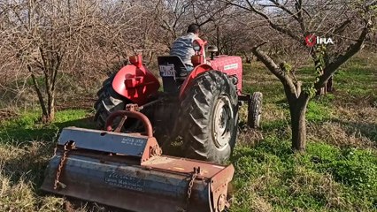 Kısıtlamaya rağmen tarlalarda üretim devam etti