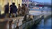 Beşiktaş Ortaköy Sahili'nde özel harekat polisi denize atlayıp turisti kurtardı