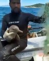 Pescador salva golfinho de rede de pesca e viraliza nas redes sociais