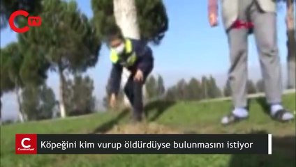 Gözü yaşlı kadın köpeğini kim vurup öldürdüyse bulunmasını istiyor