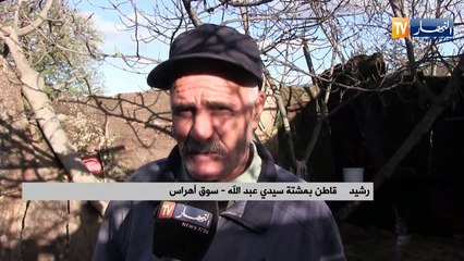 سوق أهراس: مشتة سيدي عبد الله.. معاناة حقيقية منذ زمن بعيد