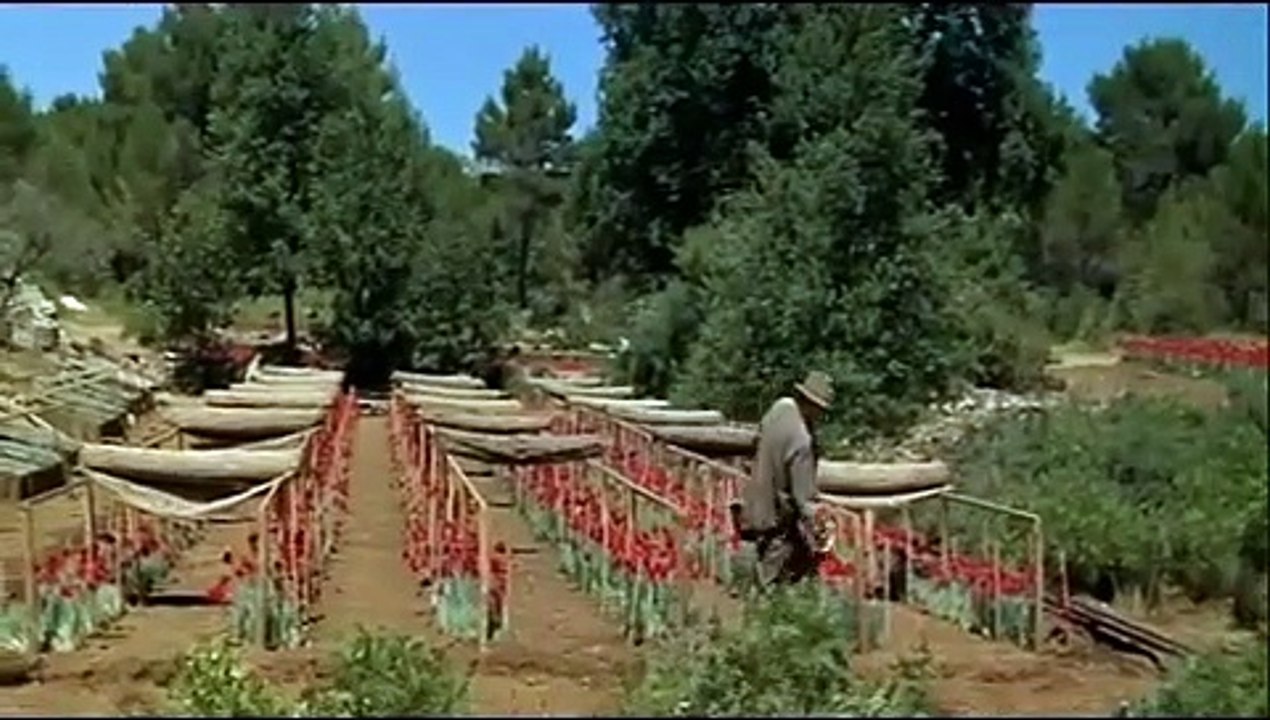 Bande annonce du film "Manon des sources"