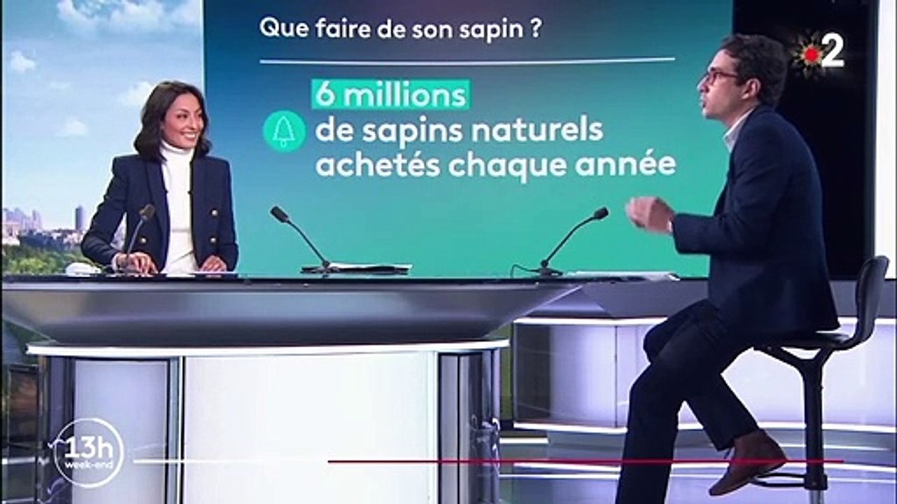 Noël et fêtes de fin d'année : où et comment se débarrasser de son sapin ?