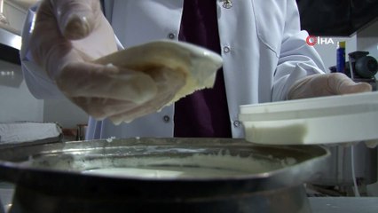 Kaymak Altı Sütünden Doğal Süzme Yoğurt Yapılıyor