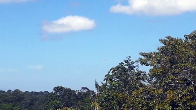 Boeing 737-800 PR-GGM na aproximação final antes de pousar em Manaus vindo de Fortaleza