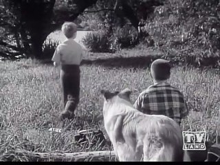 LASSIE - Arithmetic | S1E2 🐾