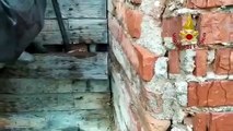 Teramo - Gattino incastrato dietro parete di legno liberato da Vigili del Fuoco (02.01.21)
